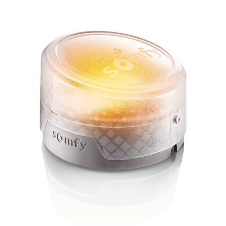 Somfy Drehtorantrieb Exavia Star RTS 1240653 Motorisierung für Drehtor