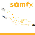 Somfy Oximo 50 io 10/17 Funk-Rohrmotor Antrieb Rollladenmotor Rollladen Laufwerk  Mitnehmer SW 50 Art. 9705344