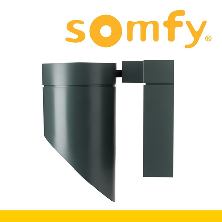 Somfy Außenkamera inkl. Sirene grau Outdoor Camera bei Nacht gestochen scharf 