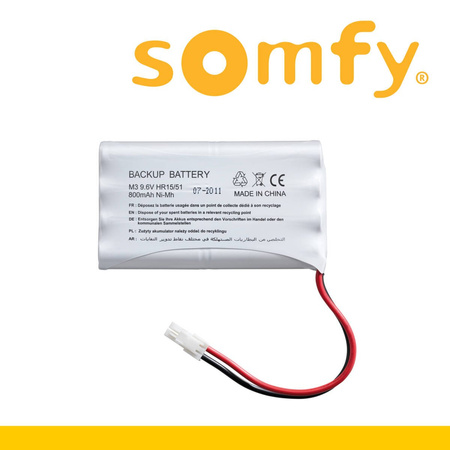Somfyt Axovia 3S iO Pack Comfort 2-flüglig Drehtorantriebe Beste Komfort + Akku