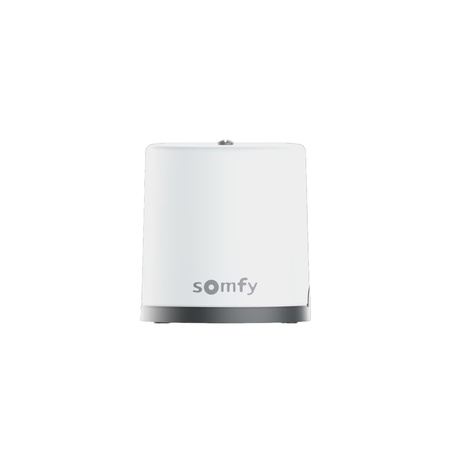 Somfy FREEVIA Essential 1246277 Schiebetorantrieb mit Zubehör 