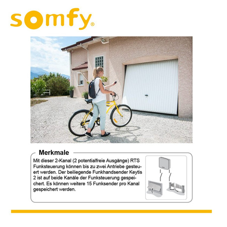 OUTLET Somfy Standard Receiver RTS Funksteuerung 2-Kanal Universal Funkempfänger