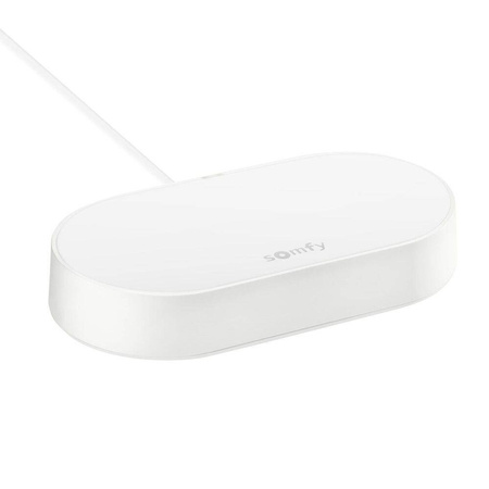 Somfy Exavia Star connect online kit für die Fernsteuerung von Flügeltoren