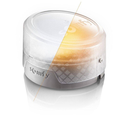 Somfy Exavia Star connect online kit für die Fernsteuerung von Flügeltoren
