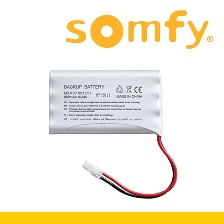 Somfy Ixengo L 24V Comfort Pack iO Drehtorantriebe 2-flüglig + Notstrom-Akku